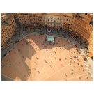 piazza del campo siena