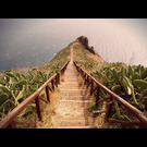 Madeira, az Örök Tavasz Szigete