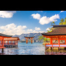 Japán & Dél Korea