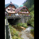cuckoo clock park