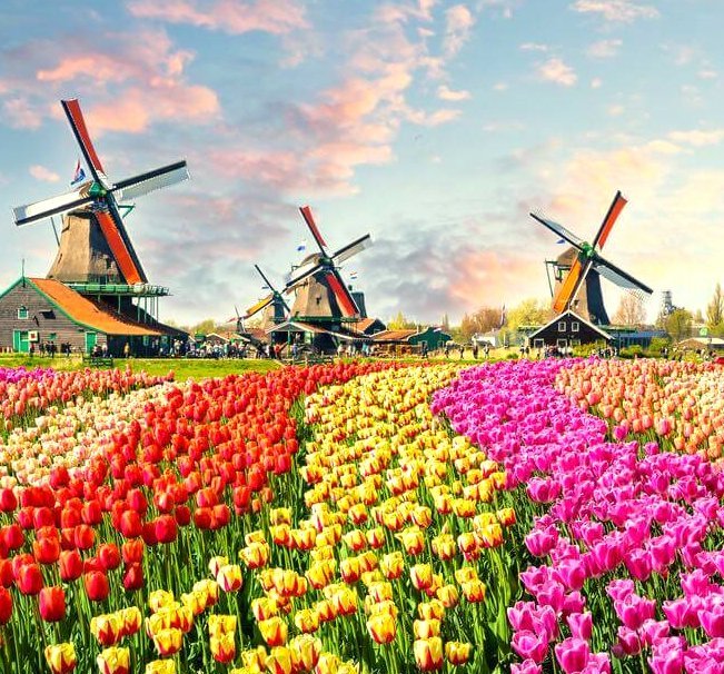 BENELUX KÖRÚT TULIPÁNVIRÁGZÁSKOR