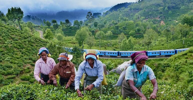 SRI LANKA - MALDÍV SZIGETEK